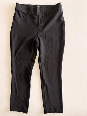 Quince Women's Trousers Stretch Ponte pull-on work professional pants